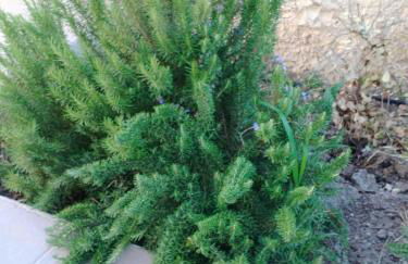 Villa Leyland - Foto 21