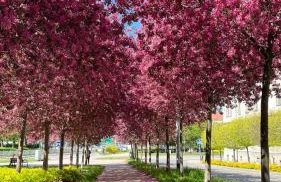 Gael Stary Rynek 1 - Foto 69