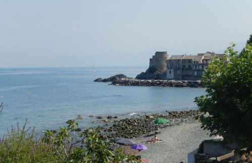 Erbalunga - Résidence Les Bosquets - Cap corse Location - Foto 8