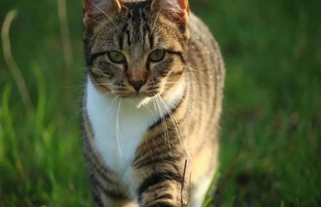 House in Arnhem With Rhine Views - Foto 17