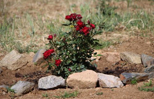 Monte Da Azarujinha - Foto 20