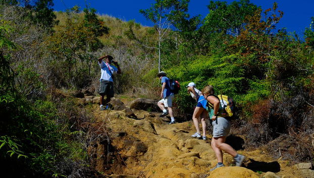 Praia do Sono Hiking Tour - Foto 5