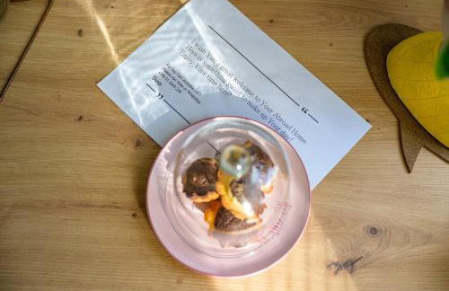 Home Abroad - Foto 4