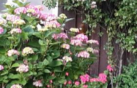 Schöne Ferienwohnung Im alten Gasthaus in Stoltebüll - Foto 24