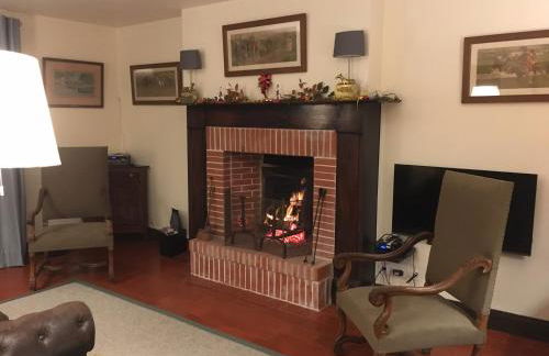 Le Petit Dauphin - Foto 1