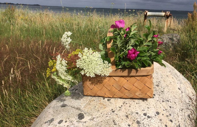 5 Person Holiday Home in Thyholm - Photo 20