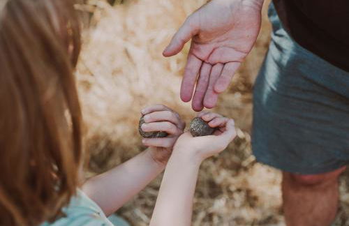 Agriturismo Biologico Diacceroni - Foto 60