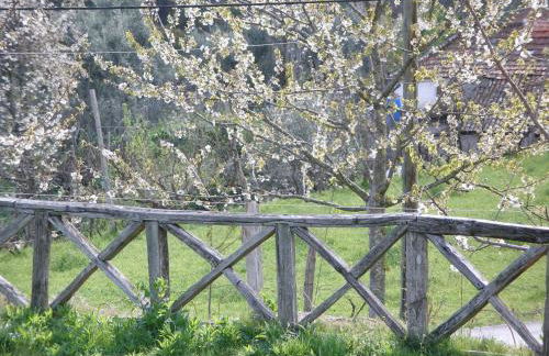 Casa do Moleiro - Foto 13