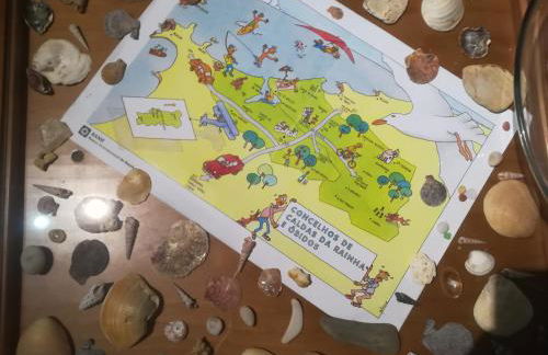 Camarção Violante - Foto 25