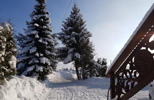 Antonówka - Foto 63