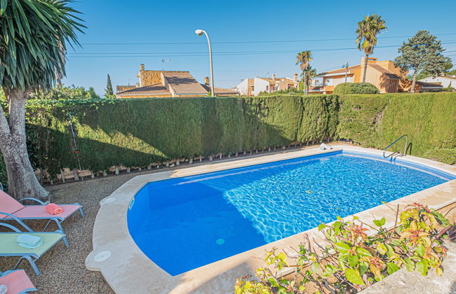 Dofins Bahia Azul - Foto 21