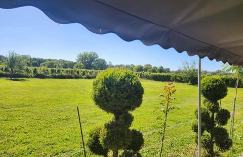 River side house - Foto 12