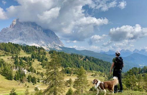 Casetta dipinta Fattoria dei fiori - Photo 69