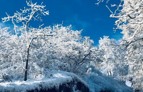 Ferienhaus Eisenach - Foto 35