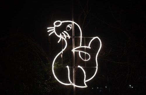 Ferienhaus Carolinenbrise - Foto 37