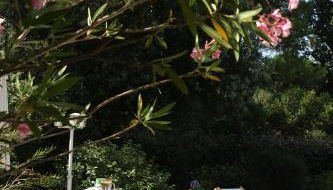 Maison calme avec piscine privée, golfs, lac et plages - Foto 3, Garden, sunbed