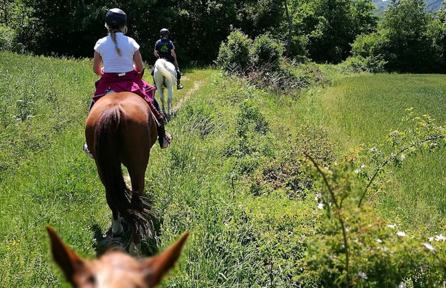 Rustic Serenity Farmhouse - Foto 21