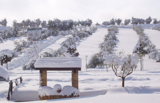 Agriturismo Le Bucoliche - Foto 52