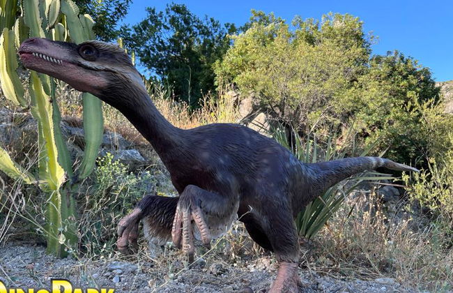 Dinopark Algar - Foto 14