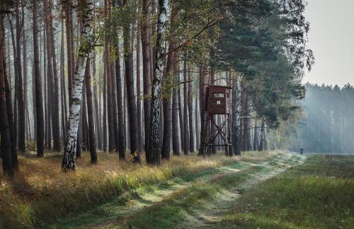 Ośrodek Wypoczynkowy WEZAJ - Foto 23