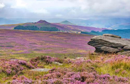 Pine Door - Photo 25