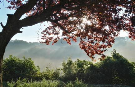 Oasi delle Gazze - Foto 31