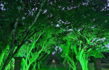 Recanto Bamboo Verde - Foto 10