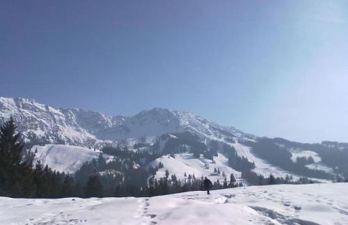 Allgaeublick-App23-Gaestehaus-in-Bad-Hindelang - Foto 12