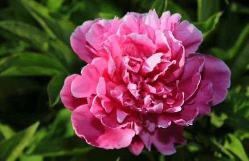 Mitten im Seenland und Spreewaldnah, schöner Garten - Foto 26