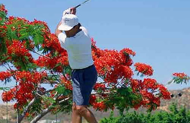 Raintree's Cimarron Golf Resort - Photo 28