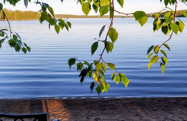 Kesäniitty - Foto 14