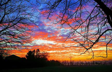 La Casa del Giardiniere - Foto 51