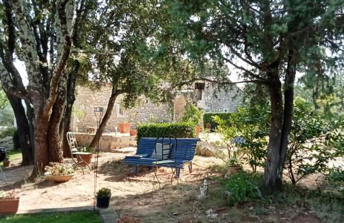 Sous les chênes - Photo 29