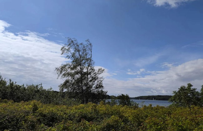 Holiday Home in Svendborg - Foto 66