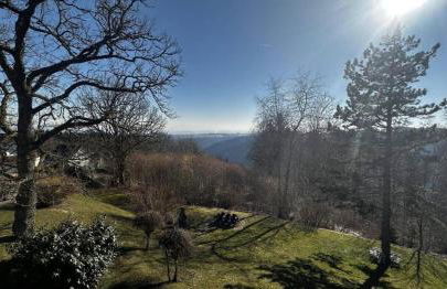 Kuckucksnest - Foto 34