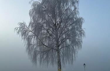 Residenz Hopfensee - Foto 14