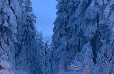 BergChaletWeitblick - Foto 42