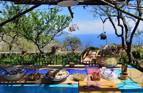 Amalfi Coast, Positano, Sorrento, Capri, Garden, Villa Carcara - Foto 16