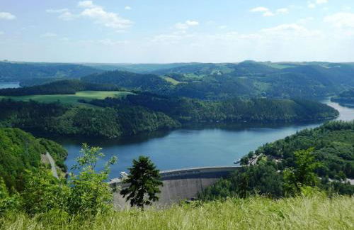 Drachenschwanz am Thuringian Sea - Foto 17