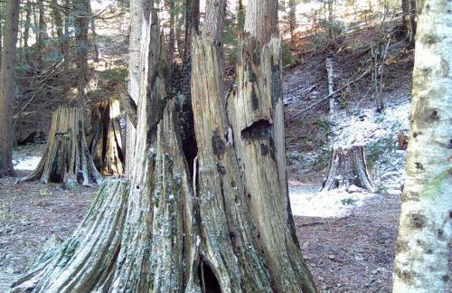 Ahrs Creek Retreat In the Timber - Foto 33