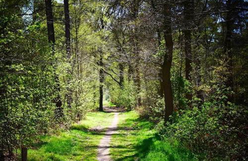 villa bord de mer 400 M de la plage - Foto 28