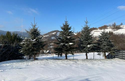 Mały Tiny Domek w górach z kominkiem , Piwniczna-Zdrój - Foto 39