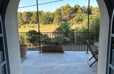 Bastidon provençal entièrement rénové et climatisé - Foto 26