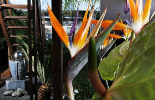 Bleu Mer Duplex & Suites - Foto 36