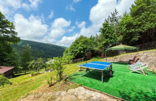 Chata pod 7 lipami - Photo 5