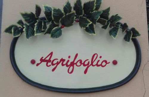 AGRIFOGLIO - Photo 17