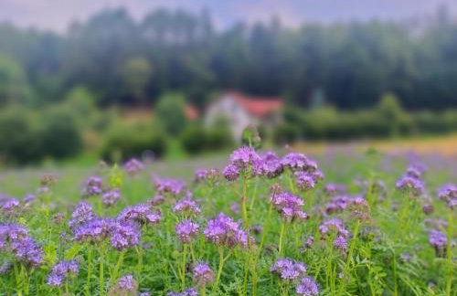 Zakątek Słoneczny pod Baranią Górą - Foto 40