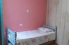 Casa quatro patas - Photo 10