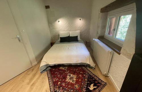 Gîte de charme, jardin privé, proche Tours, animaux admis - FR-1-381-637 - Foto 17