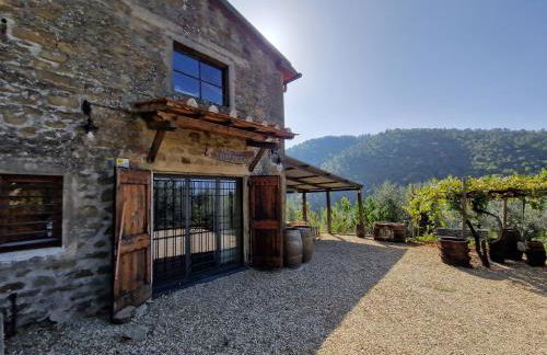 Il Frantoio, Loft rurale, con bbq e giardino in Pontifogno - Foto 1